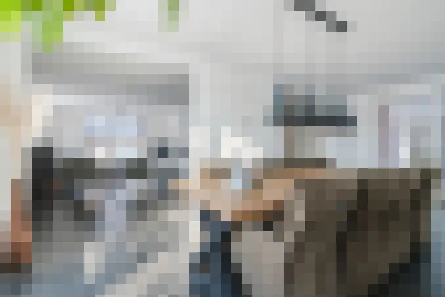 Pandelaarse Kampen 24 Gemert thumbnail 20