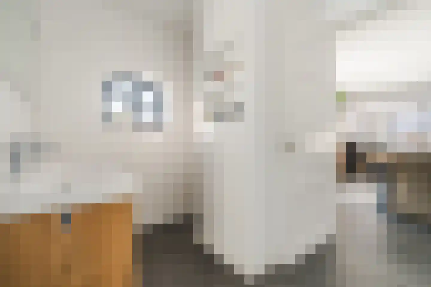 Pandelaarse Kampen 24 Gemert thumbnail 30