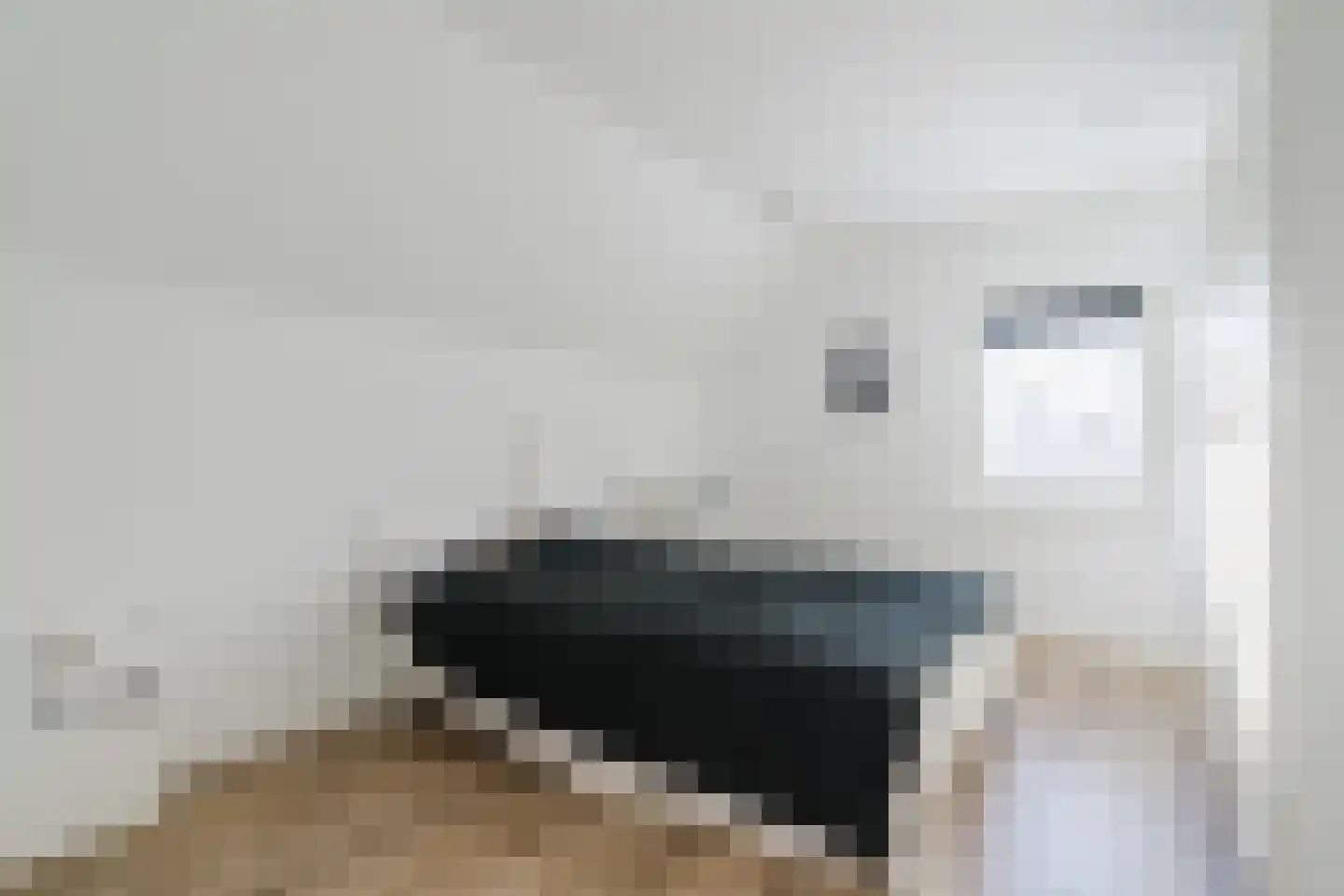 Pandelaarse Kampen 24 Gemert thumbnail 38