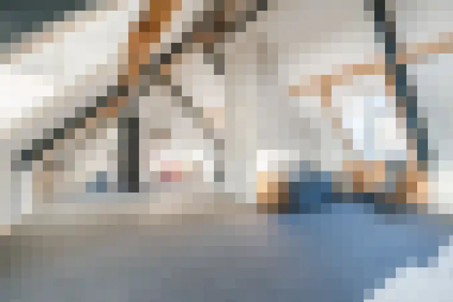 Pandelaarse Kampen 24 Gemert thumbnail 45