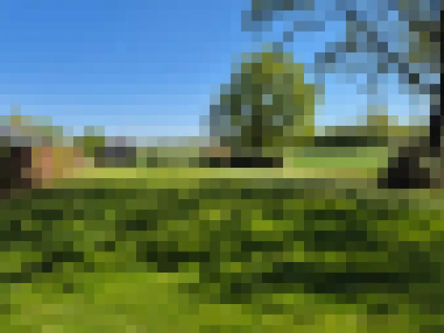 Pandelaarse Kampen 24 Gemert thumbnail 56