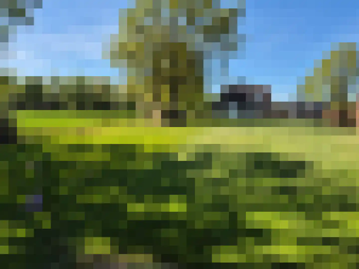 Pandelaarse Kampen 24 Gemert thumbnail 57