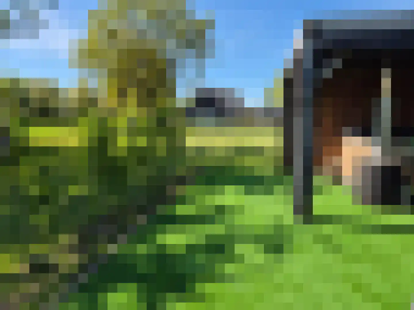 Pandelaarse Kampen 24 Gemert thumbnail 58