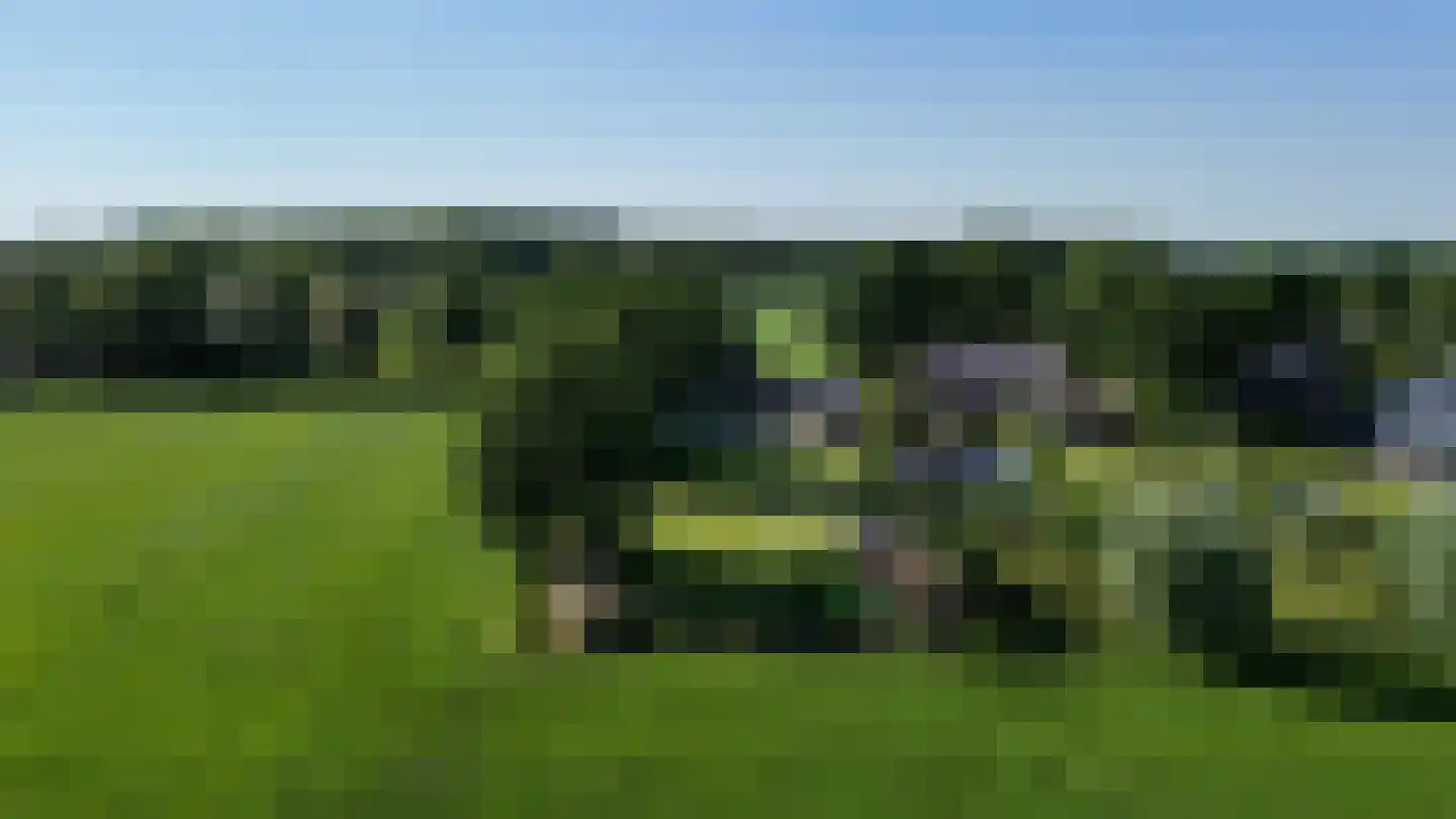 Pandelaarse Kampen 24 Gemert thumbnail 60