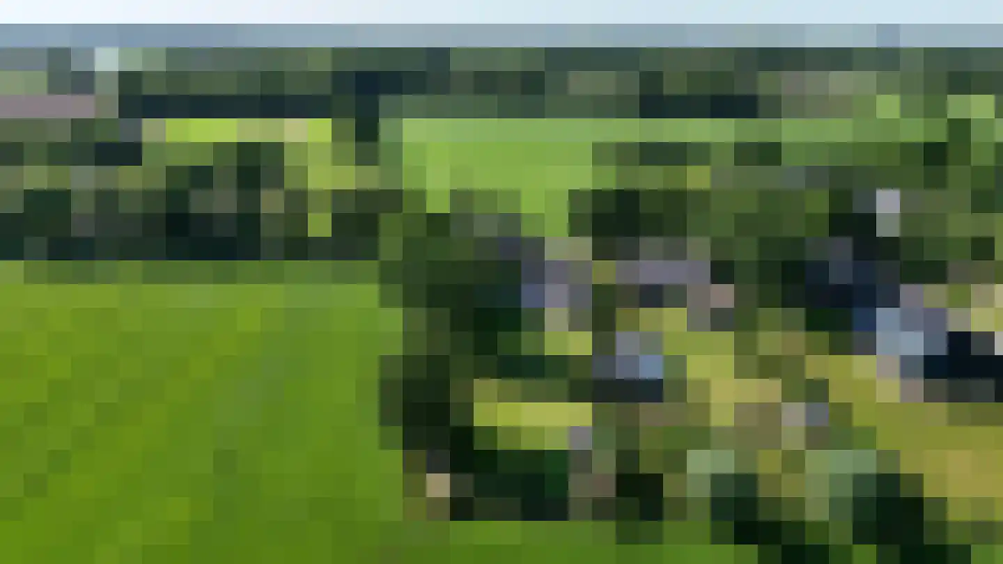 Pandelaarse Kampen 24 Gemert thumbnail 61