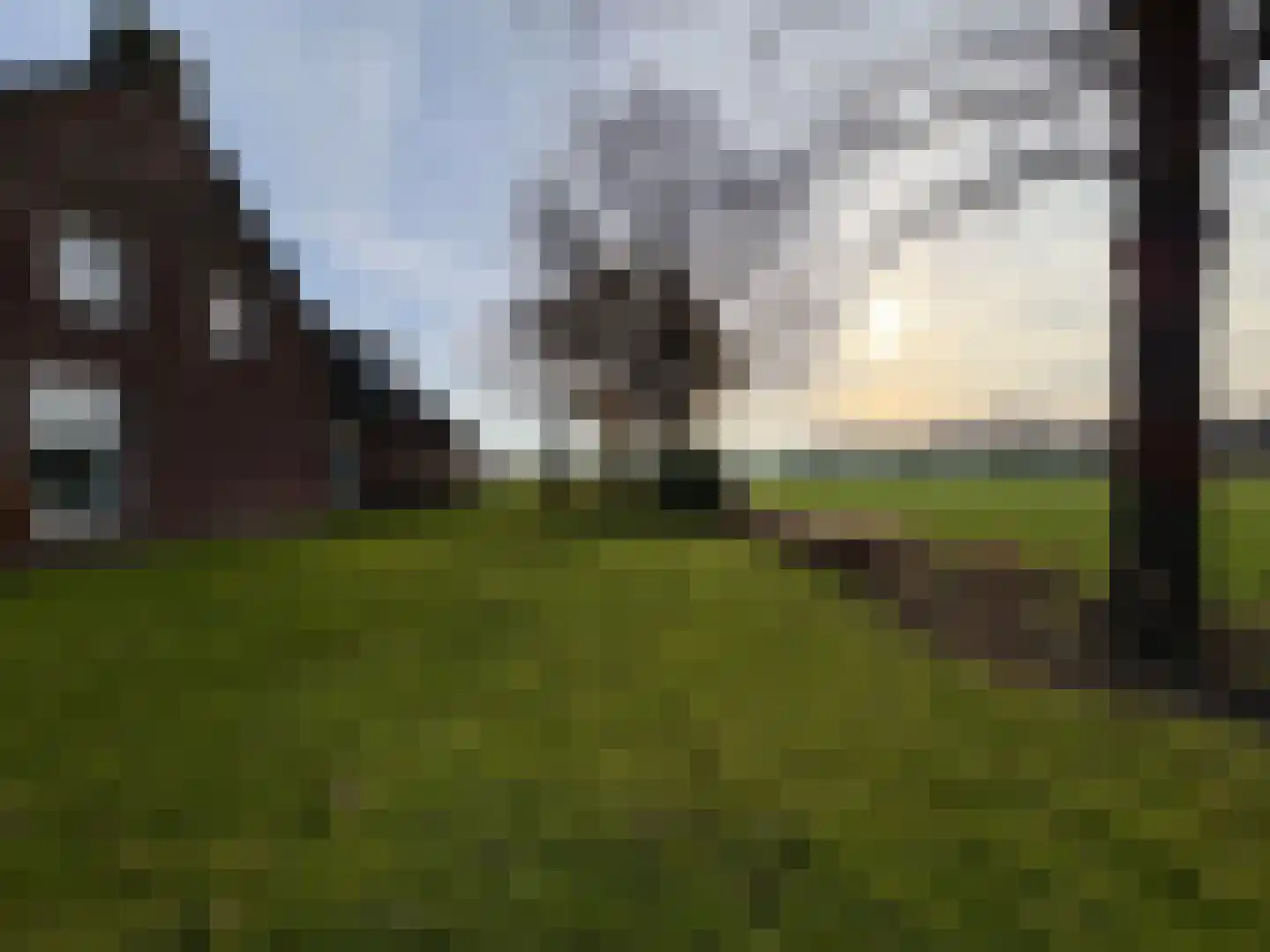Pandelaarse Kampen 24 Gemert thumbnail 62
