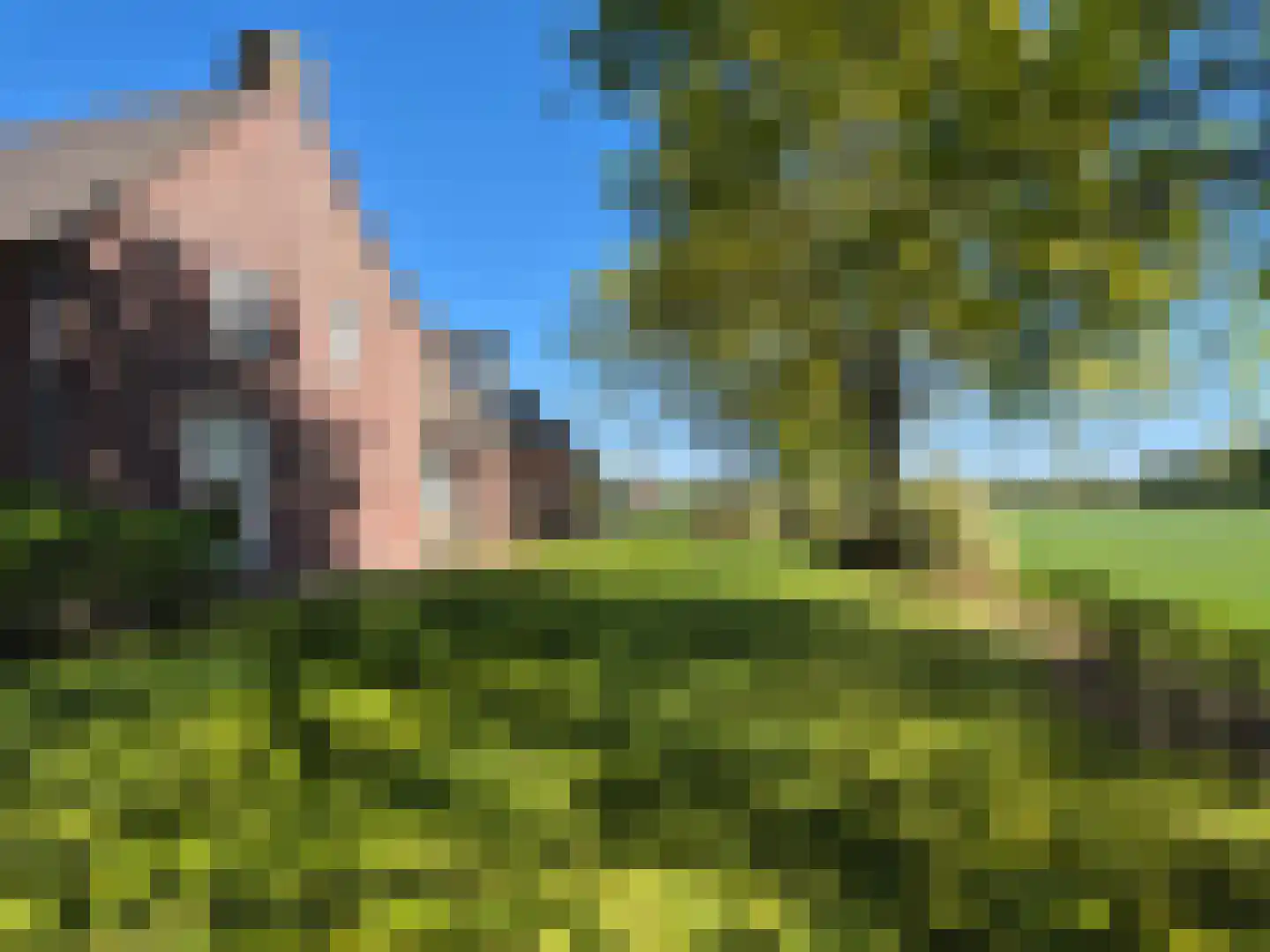 Pandelaarse Kampen 24 Gemert thumbnail 64