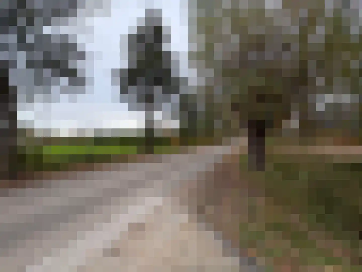 Pandelaarse Kampen 24 Gemert thumbnail 64