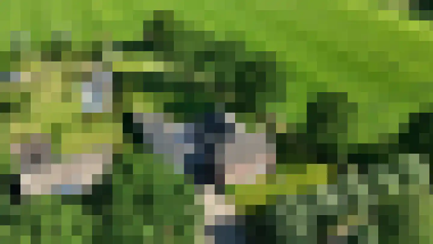 Pandelaarse Kampen 24 Gemert thumbnail 65