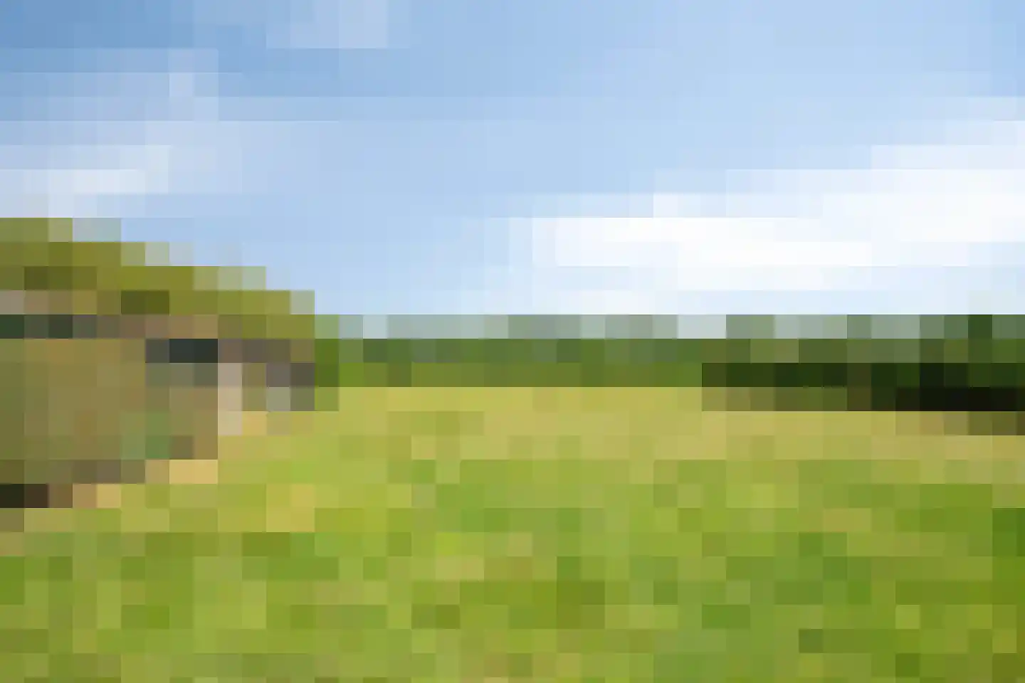 Pandgat 18 A Oirschot thumbnail 42