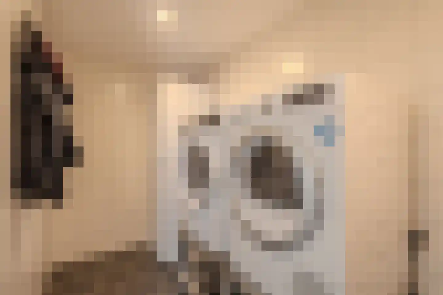 Pandgat 18 Oirschot thumbnail 12