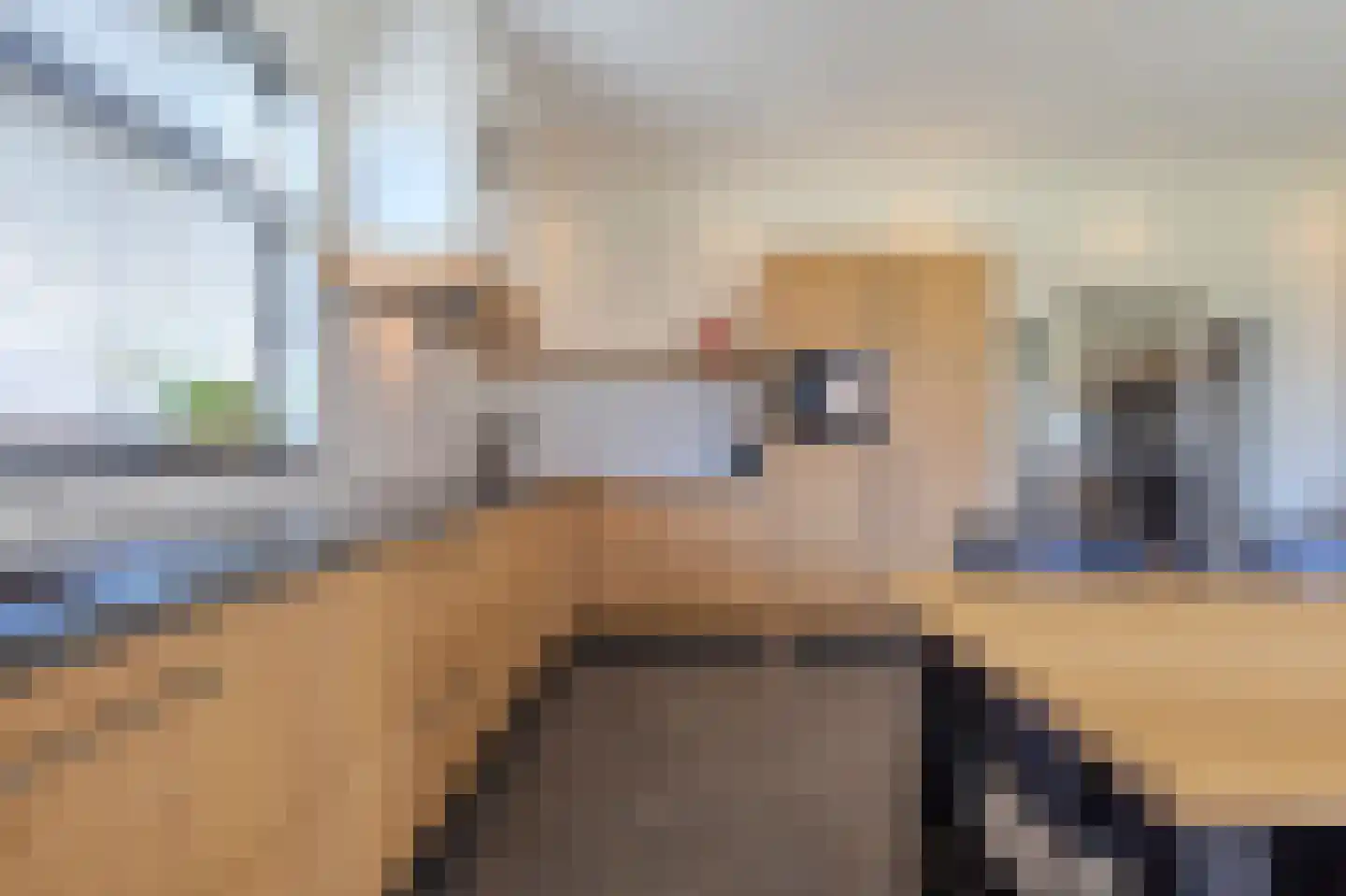 Pandgat 18 Oirschot thumbnail 14