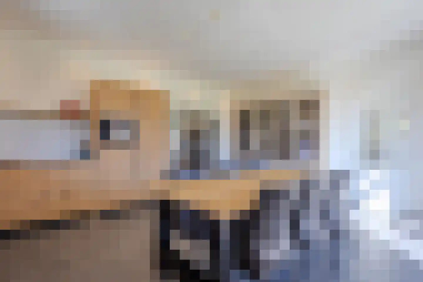 Pandgat 18 Oirschot thumbnail 15