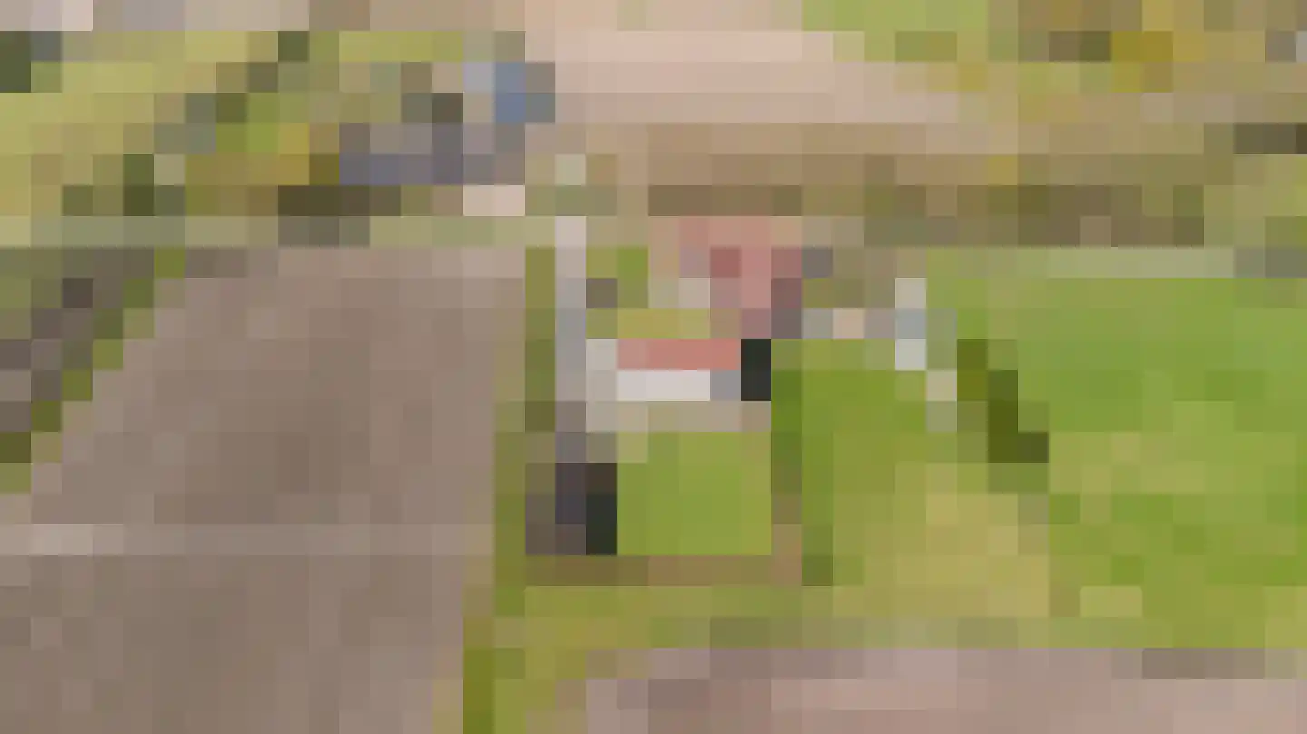 Pandgat 18 Oirschot thumbnail 54