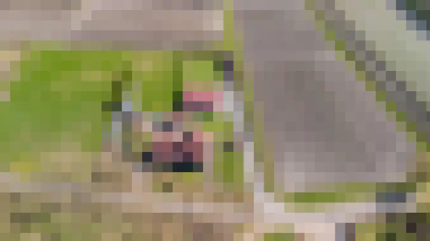Pandgat 18 Oirschot thumbnail 55