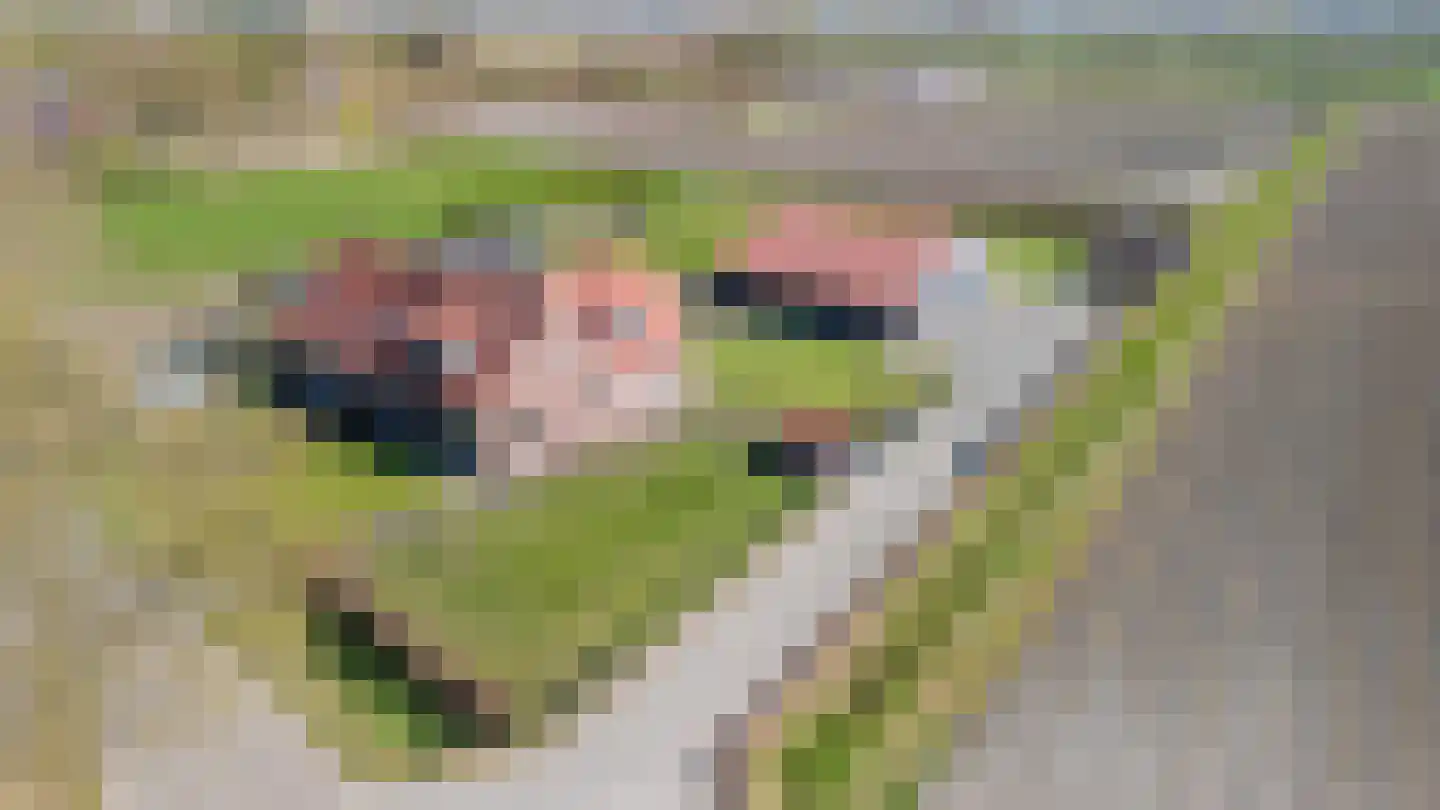 Pandgat 18 Oirschot thumbnail 57