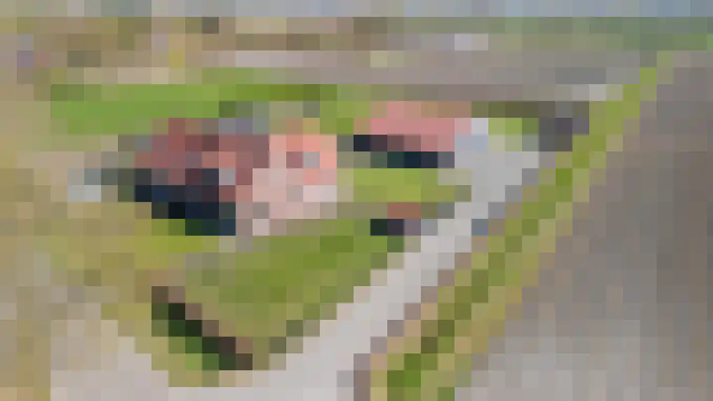 Pandgat 18 Oirschot thumbnail 59