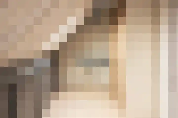 Pandhof 11 Grootebroek thumbnail 20