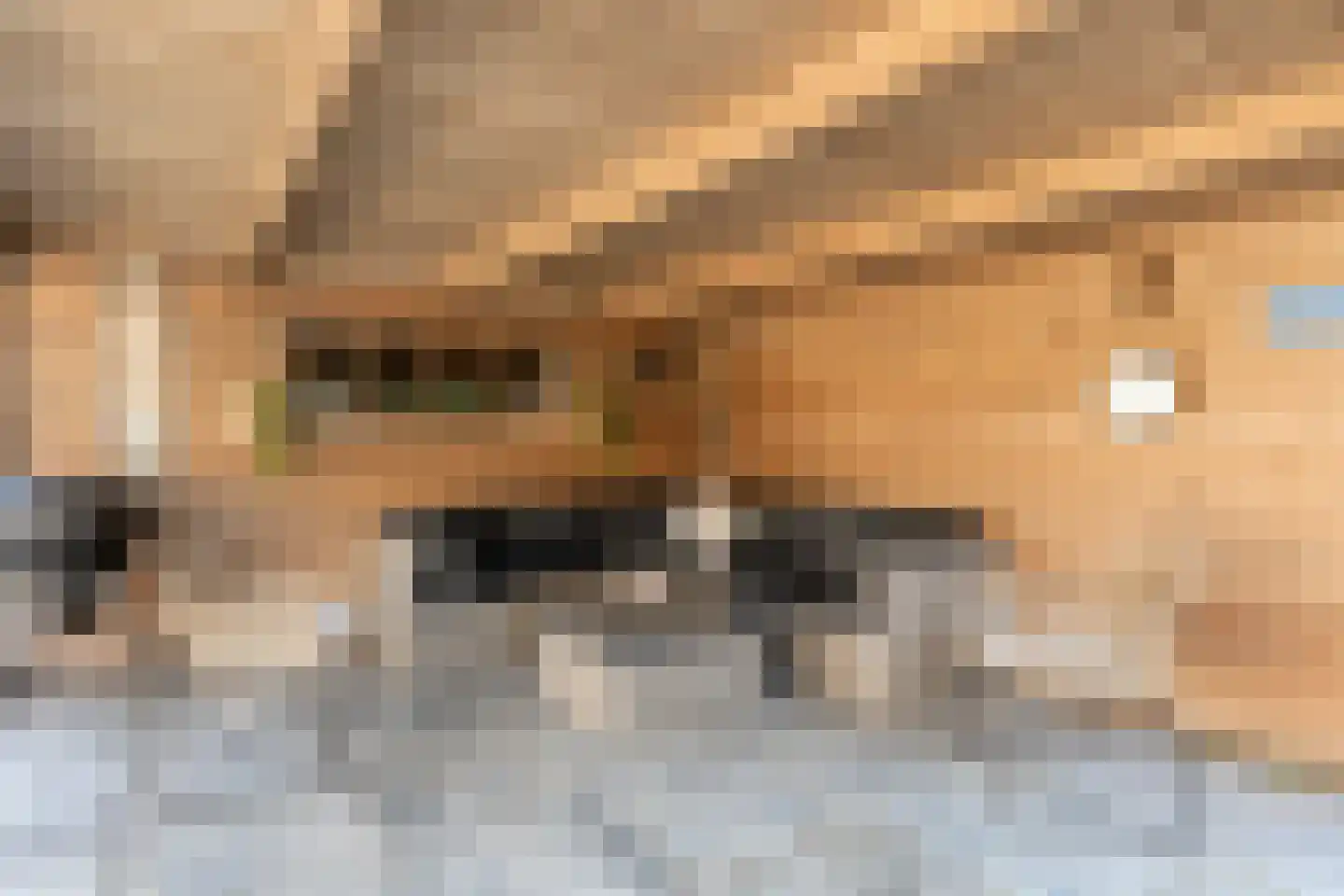 Pandhof 36 Grootebroek thumbnail 35