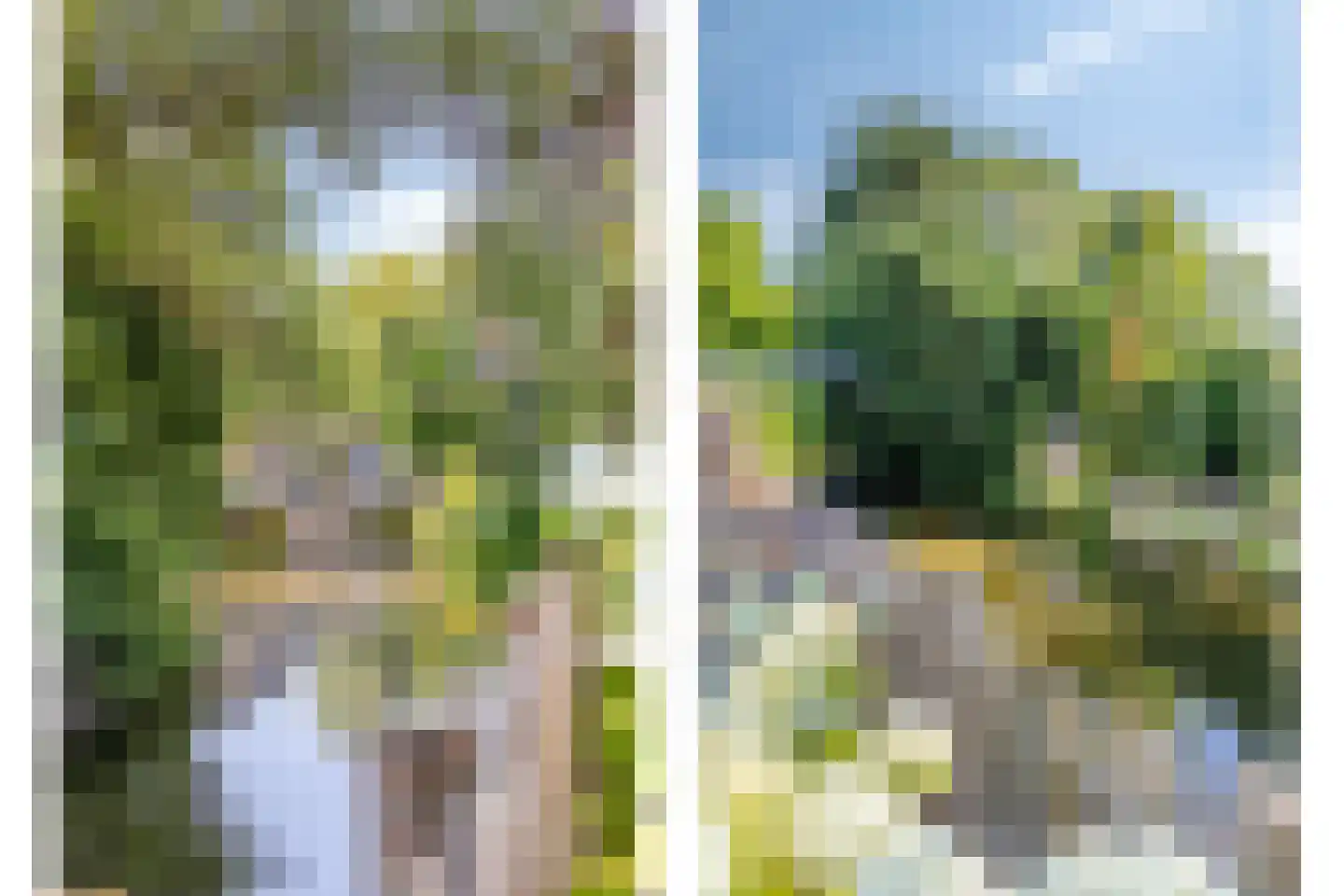 Pandhof 36 Grootebroek thumbnail 39
