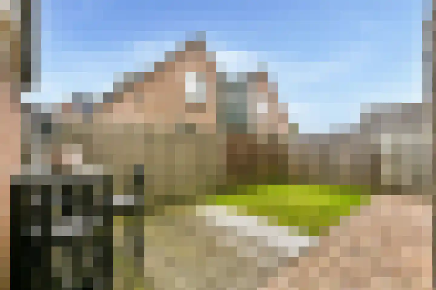 Pandhof 42 Grootebroek thumbnail 16