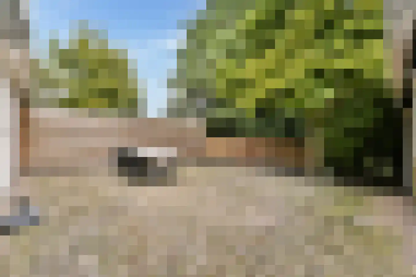 Pandhof 42 Grootebroek thumbnail 17