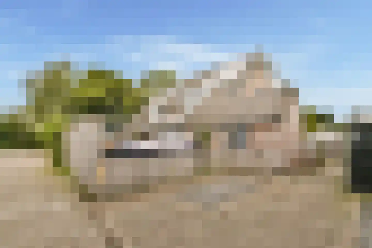 Pandhof 42 Grootebroek thumbnail 35
