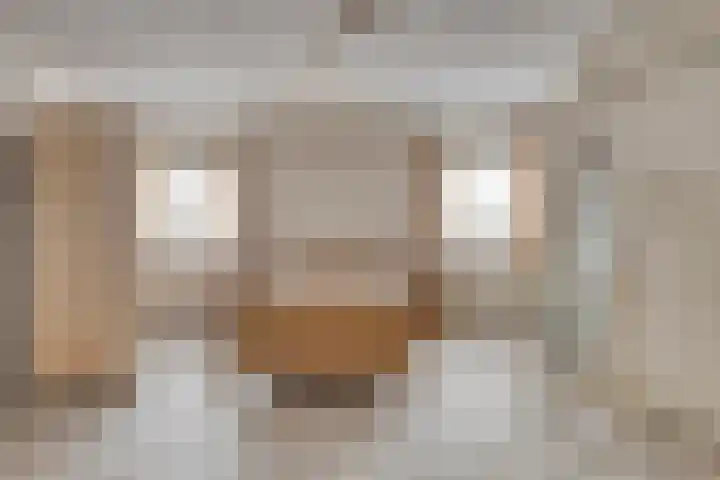 Pandhof 5 Heeswijk-Dinther thumbnail 15