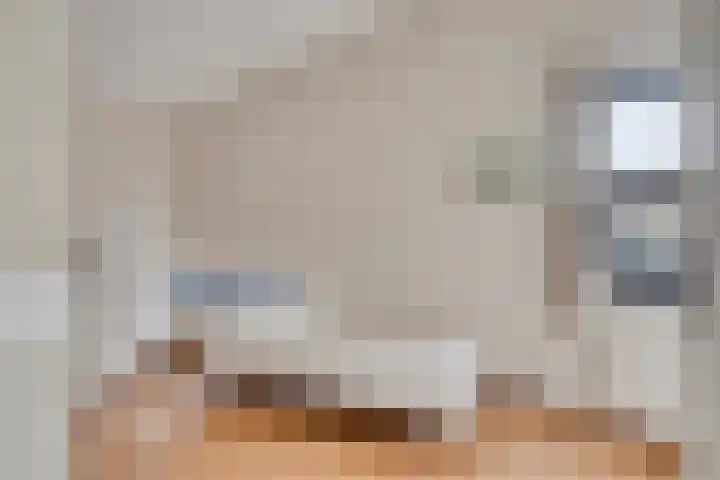 Pandhof 5 Heeswijk-Dinther thumbnail 21