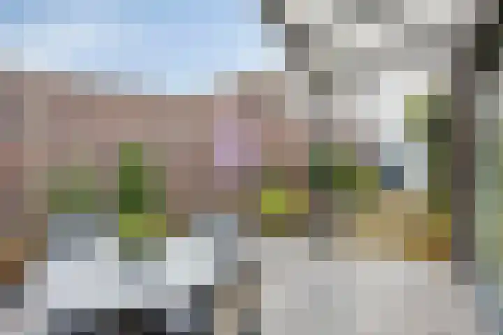 Pandhof 5 Heeswijk-Dinther thumbnail 24