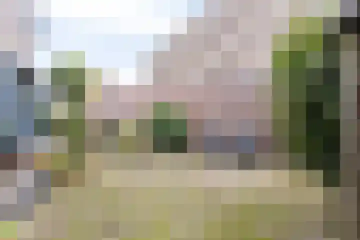 Pandhof 5 Heeswijk-Dinther thumbnail 27