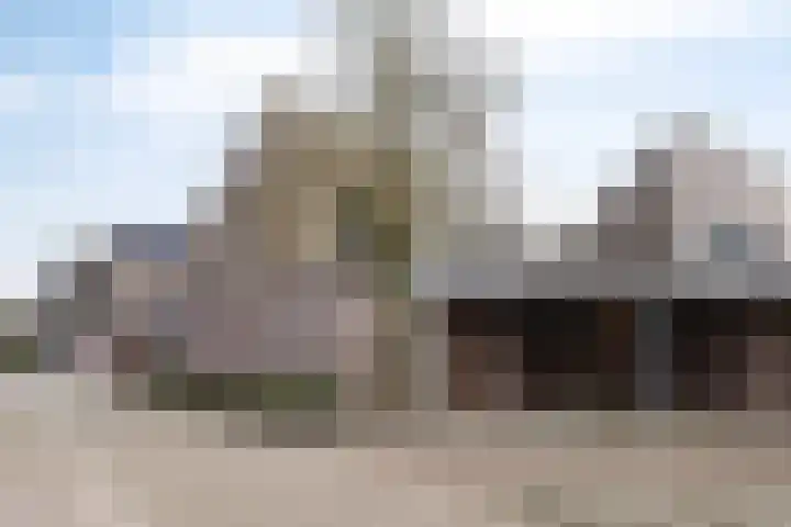 Pandhof 5 Heeswijk-Dinther thumbnail 28