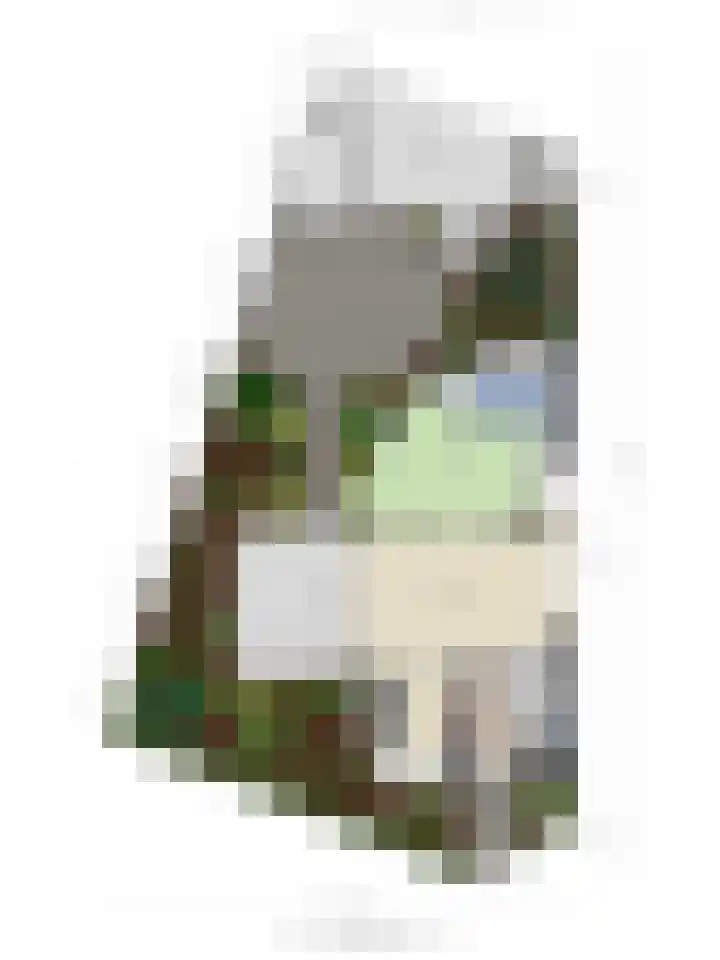Pandhof 5 Heeswijk-Dinther thumbnail 31