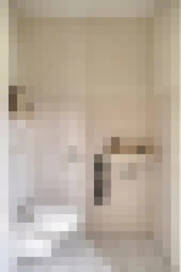 Pandhof 5 Heeswijk-Dinther thumbnail 7