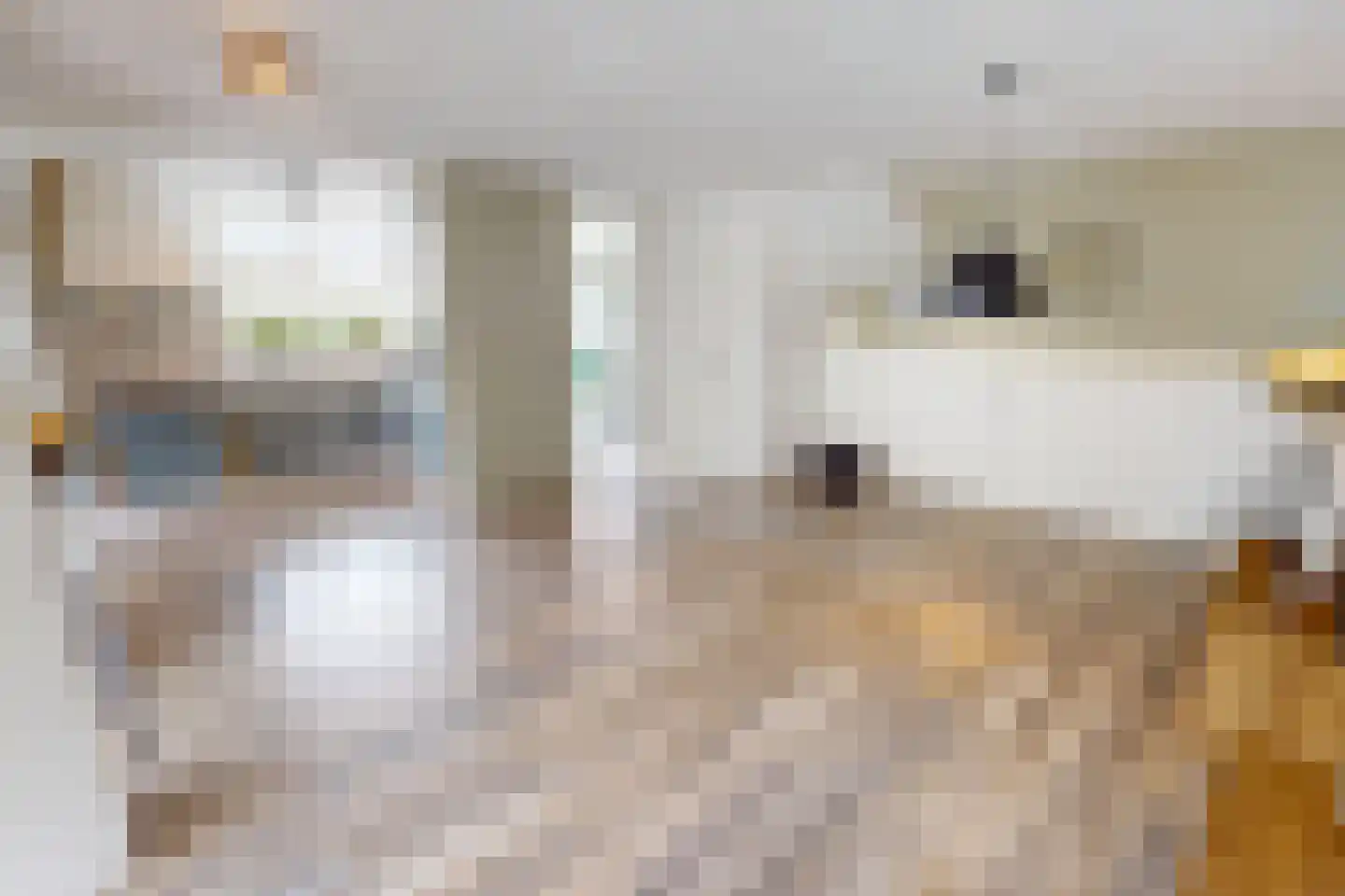Pandhof 51 Grootebroek thumbnail 13