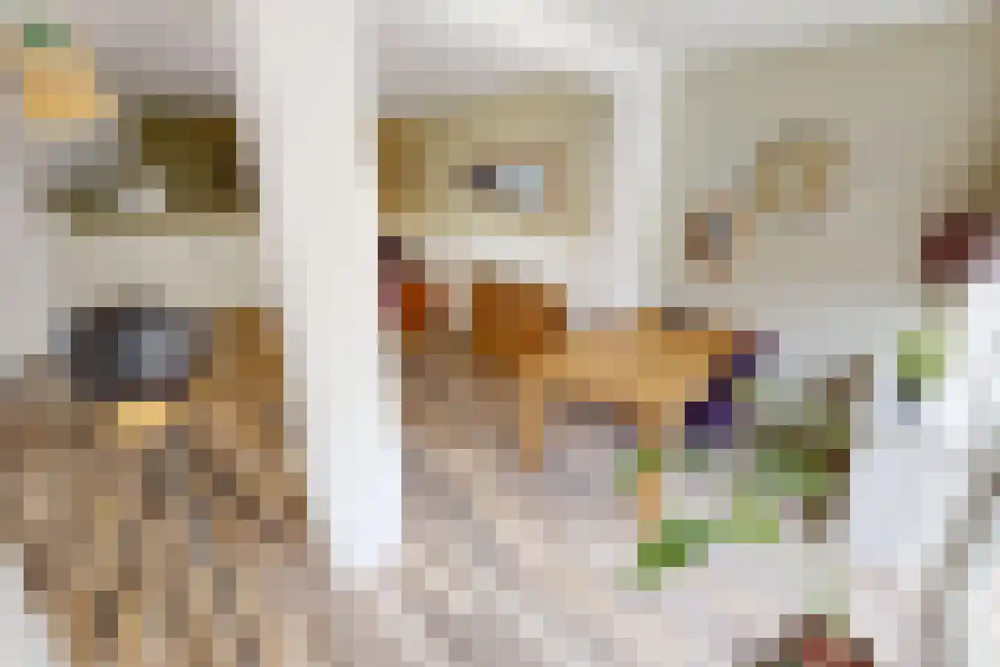Pandhof 51 Grootebroek thumbnail 19