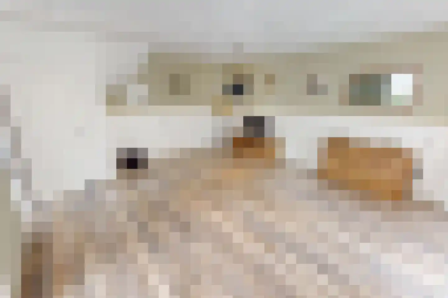 Pandhof 51 Grootebroek thumbnail 21