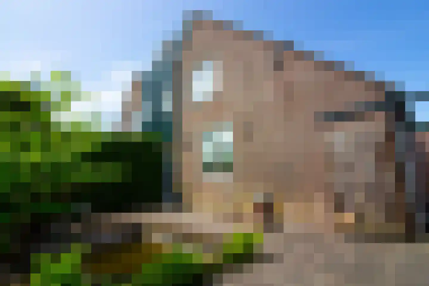 Pandhof 51 Grootebroek thumbnail 5