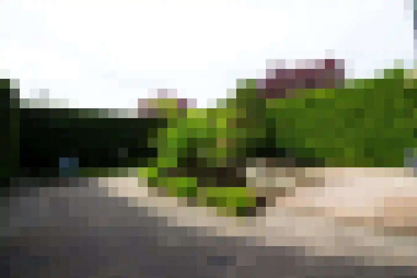 Pandhof 51 Grootebroek thumbnail 60
