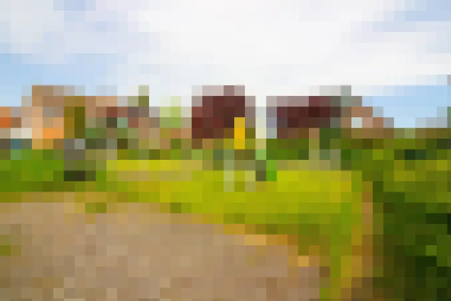 Pandhof 51 Grootebroek thumbnail 74