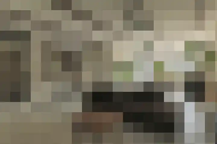 Pandhof 53 Grootebroek thumbnail 10