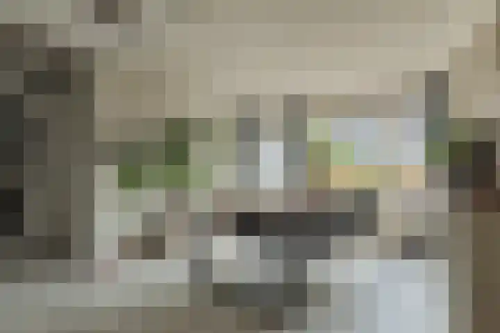 Pandhof 53 Grootebroek thumbnail 17