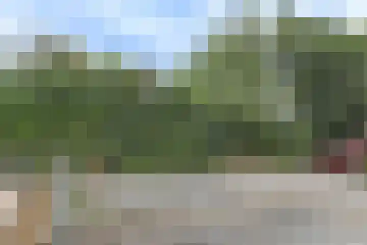 Pandhof 53 Grootebroek thumbnail 36