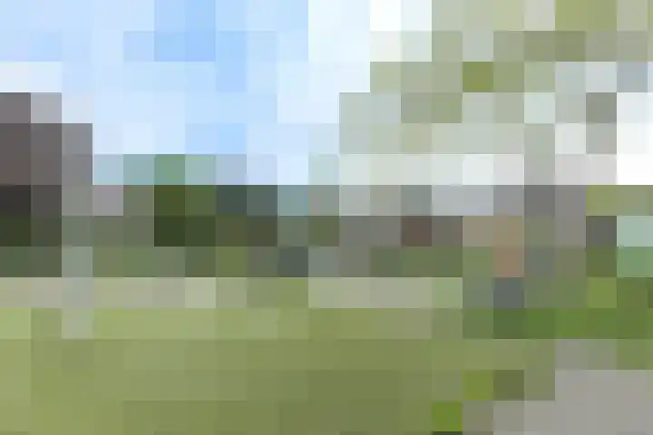 Pandhof 53 Grootebroek thumbnail 38