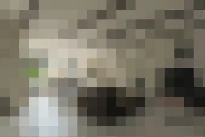 Pandhof 53 Grootebroek thumbnail 9