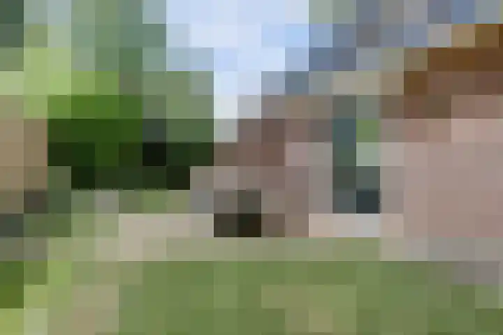 Pandhof 6 Grootebroek thumbnail 37