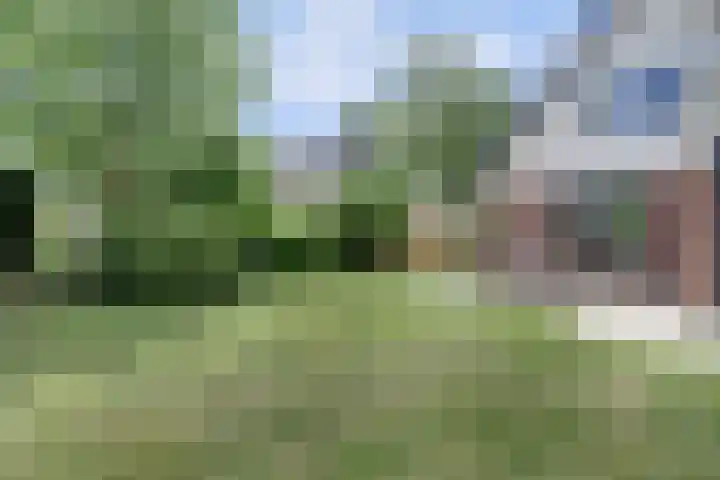 Pandhof 6 Grootebroek thumbnail 40