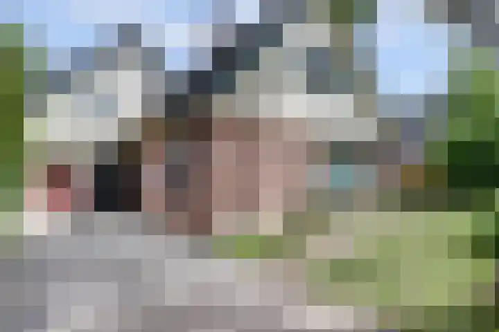 Pandhof 6 Grootebroek thumbnail 43