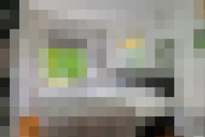 Pandijk 18 Sterksel thumbnail 20