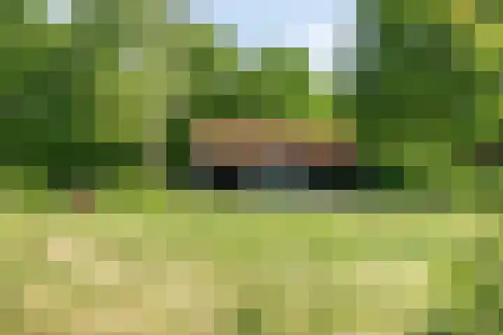 Pandijk 18 Sterksel thumbnail 33